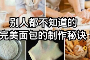 別人都不知道的完美麵包的製作秘訣