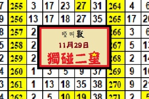 啞叫獸獨碰二星11/29/2017精彩(今彩)出閘試試看