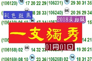 一支獨秀~彩色斑馬2018今彩最初版!!!01月01日新年快樂~!!