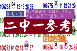 今彩~彩色斑馬二中一垂直連莊分享版!!12-25