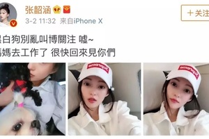 撕了八年張韶涵范瑋琪恩怨升級這次劇情更精彩!