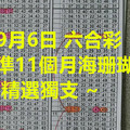 9月6日 六合彩 準11個月海珊瑚 精選獨支 ~