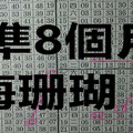 9月17日 六合彩 準8個月 海珊瑚 二星