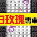 12月13日六合彩 白玫瑰 專車~獨碰加獨支共三星