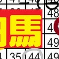 [12/31] 六合彩 白馬再現~精選不定位版