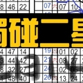 2月14日 六合彩 分享~中號碼 永不間斷 獨碰二星