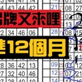 2月16日 六合彩 準8個月 連出牌 又來哩