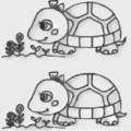 兩隻烏龜看出哪裡不一樣？你就是什麼人！