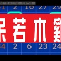 11月24日 六合彩 獨碰二星 呆若木雞.....冠軍鬥雞.....