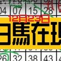 [12/23] 六合 黑馬再現~豐仙師