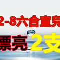 2月8日六合 ♨漂亮兩隻專車☯♡♡