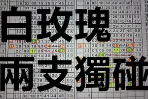 9月17日 六合彩 白玫瑰 兩支獨碰