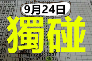 9月24日六合 六合彩 白玫瑰定位獨碰 版路