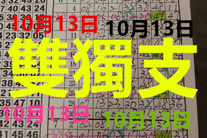 10月13日 六合彩 六合 雙獨支 專車 獨支 版路