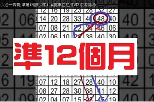 11/15 - 六合一條龍 準第12個月2中1...((養車立柱用3中1到期參考...