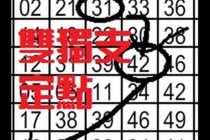 11月17日 六合 雙獨支 獨碰專車定點 精選牌之 二星