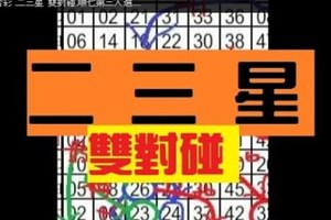 11/22.六合彩 .二三星 雙對碰.順七第三人選....