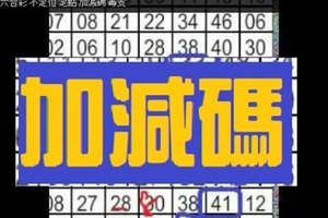 11月24日 六合彩 不定位 定點 加減碼 毒支