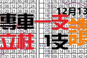 (12/13)六合至尊港彩 == 專車一支 == 立柱 2支 參考 ==   