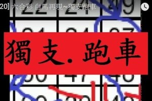 [12/20] 六合彩 白馬再現~獨支跑車