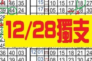 [12/28] 六合彩 白馬再現~豐仙師^精華版再度公開