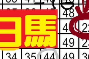 [12/31] 六合彩 白馬再現~精選不定位版