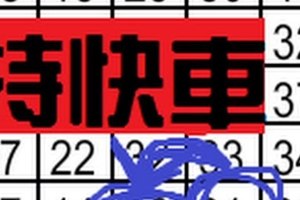 [12/31] 六合彩 獨支 專車 參考特快車!