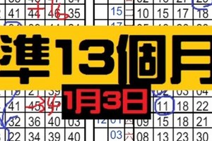 1月3日 六合彩 準13個月 不定位 定點 加減碼 毒支