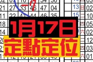 1月17日 六合彩 白玫瑰 定點定位 獨支專車