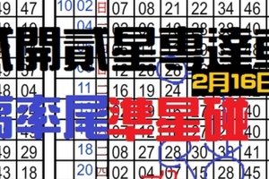2月16日六合 精二高率尾貳開貳星專達車準星碰