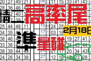 2月18日六合精二高率尾相同號貳開貳星專達車準星碰