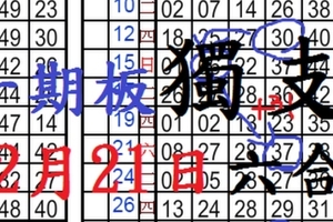 2月21日六合彩 一期板 獨支 風向球...