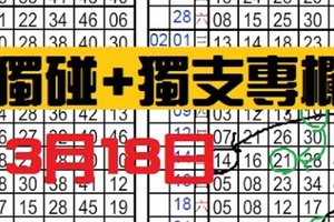 3月18日六合彩 【獨碰+獨支專欄】天機數~港號~僅供參考