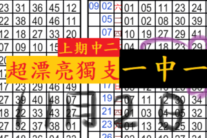 11/2六合 超漂亮獨支 ~希望一中一