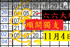 11月4日六合准3期 連六 六一六大順