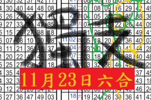 11月23日六合彩雙連莊??碰天雙獨支