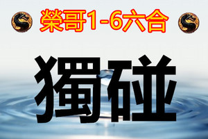 1月6日六合金多寶 連莊牌+獨碰