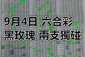 9月4日 六合彩黑玫瑰 兩支獨碰