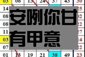 11月8日 六合 獨碰 二星 安咧你甘有甲意