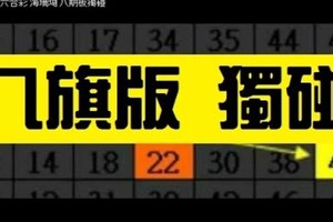 11月22日 六合彩 海珊瑚 八期板獨碰