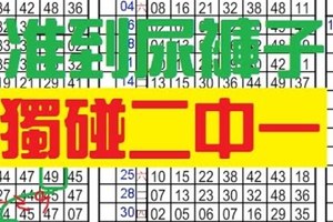 11月29日 六合彩 准到沒道理 ~ 獨碰專車