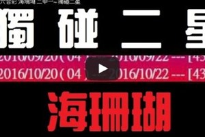 11月29日 六合彩 海珊瑚 二中一~ 獨碰二星