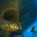 15張活在海底的「巨型物」 終於見識到深海的危險指數是多麼的恐怖啊！！