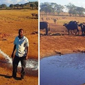 感動！男子每天開車幾小時送水給乾旱中的動物：「如果我不幫忙，牠們就會死。」 