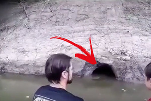恐怖！他們發現河邊洞里冒泡，大著膽子伸手進去，沒想到，竟拽出個「龐然大物」！ 
