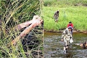 3歲女孩和狗狗偷偷離家尋找父親，後迷失在森林，11天後狗狗獨自焦慮跑回來，女孩卻……