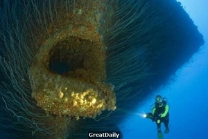 15張活在海底的「巨型物」 終於見識到深海的危險指數是多麼的恐怖啊！！