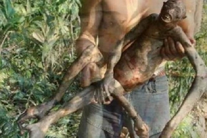震驚！男子在亞馬遜發現神秘新物種？似人似猴難辨真假。。太恐怖了!