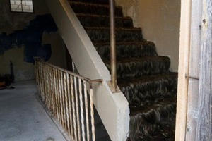 家鄉破舊房屋鋪滿「黑乎乎」的一層，在樓梯上形似「黑色的波浪」，這竟然是...太恐怖了！！