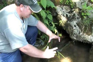 男子河邊釣魚發現「冒泡」的水洞，伸手去摸，竟揪出這個「傳宗接代寵物」….真是賺到了啊！！